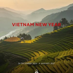 New year in Vietnam 🇻🇳
